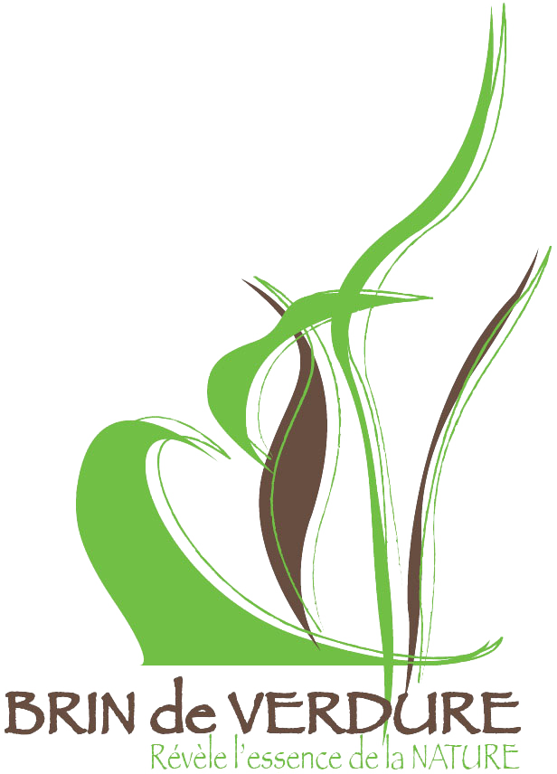 logo_BDV