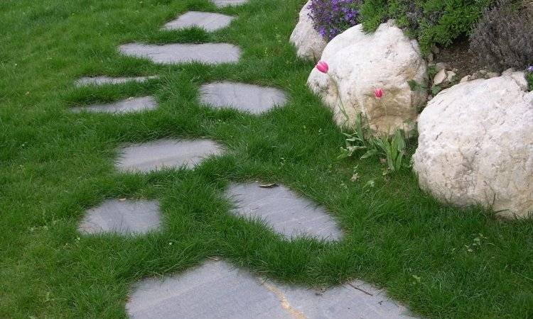 allee-gazon