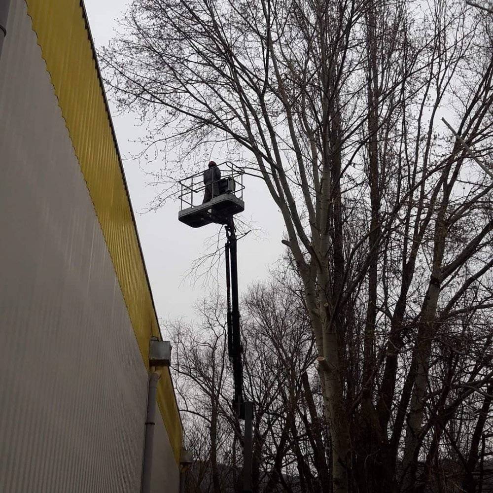 taille-nacelle